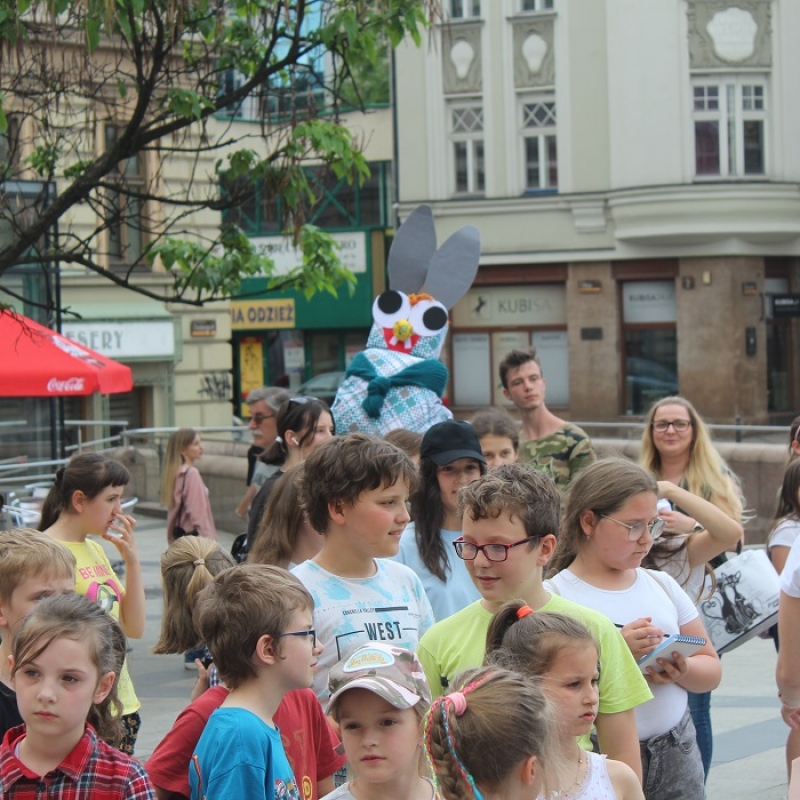 zdjecie: